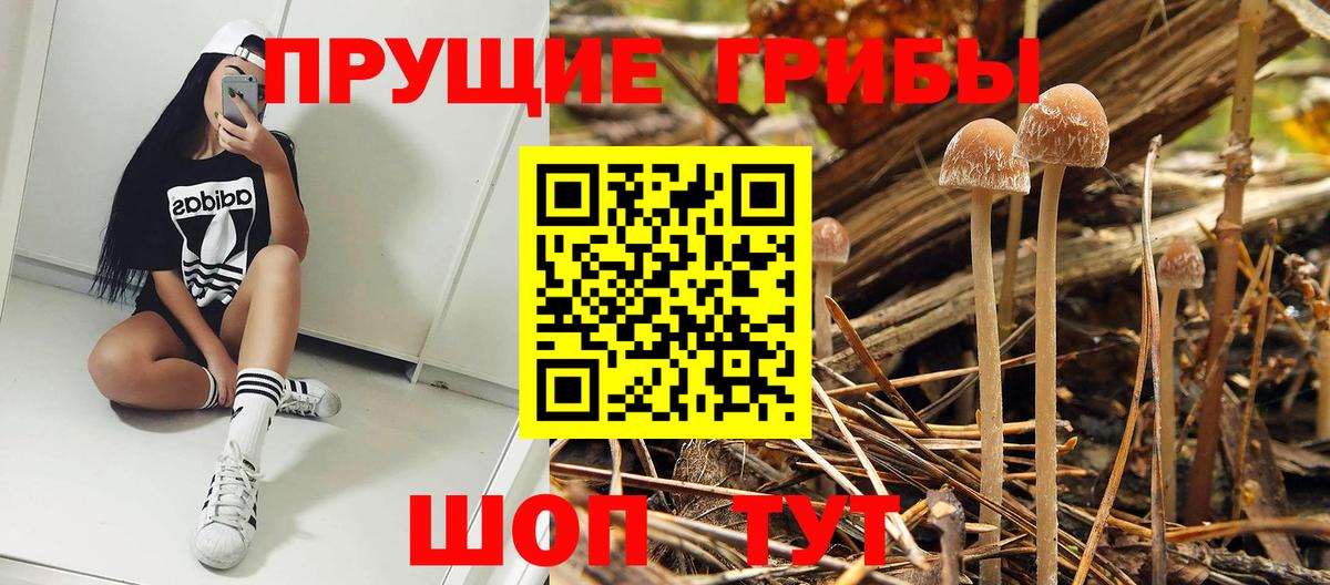 Псилоцибиновые грибы Magic Shrooms Балашов